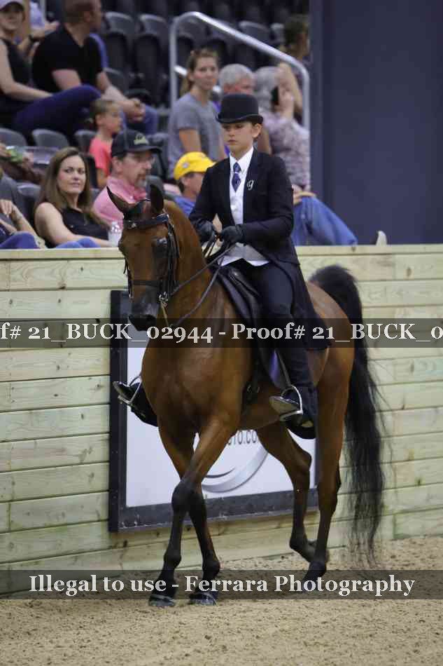 Proof 21_BUCK_02944