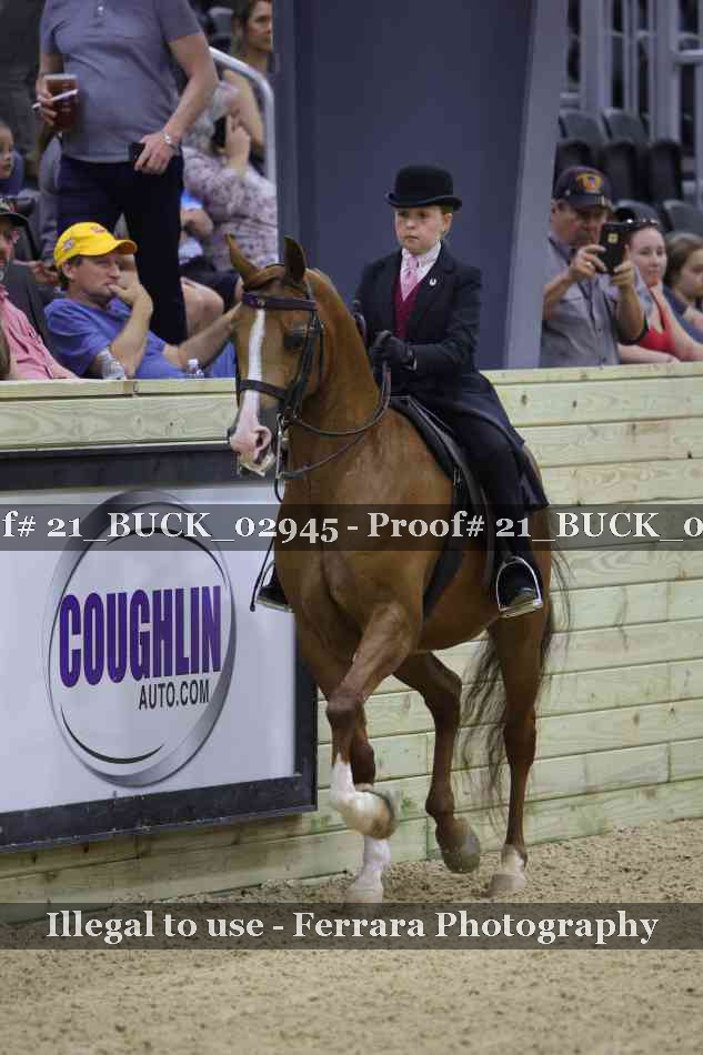 Proof 21_BUCK_02945