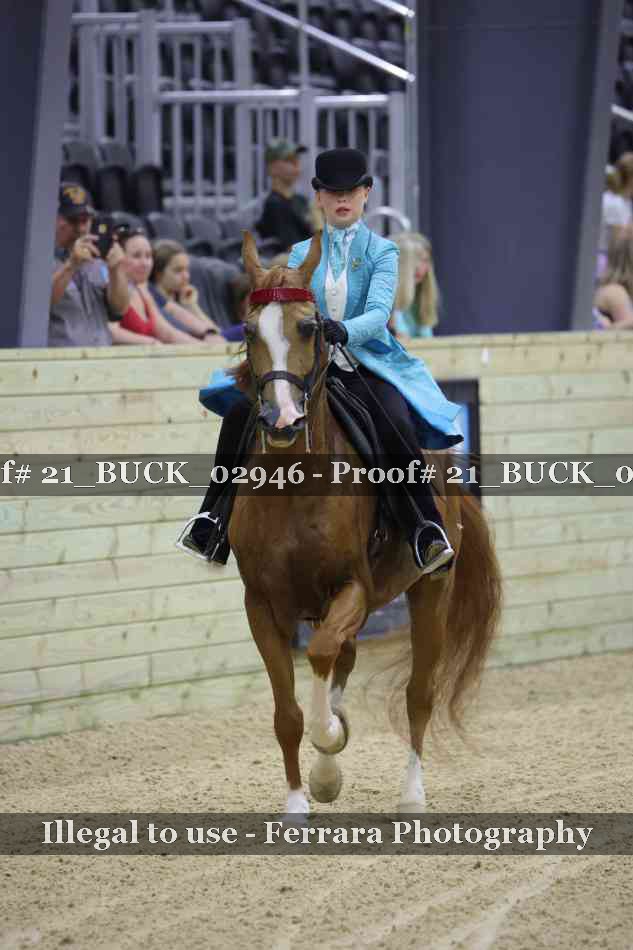 Proof 21_BUCK_02946