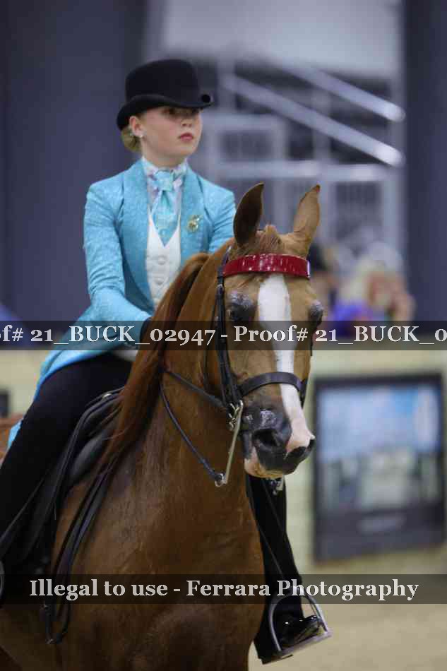 Proof 21_BUCK_02947
