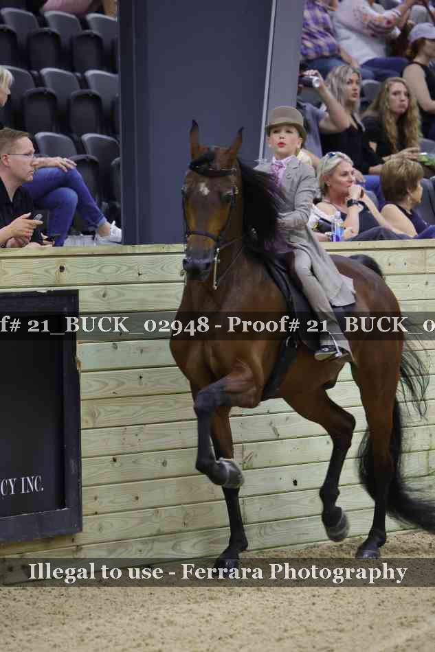 Proof 21_BUCK_02948