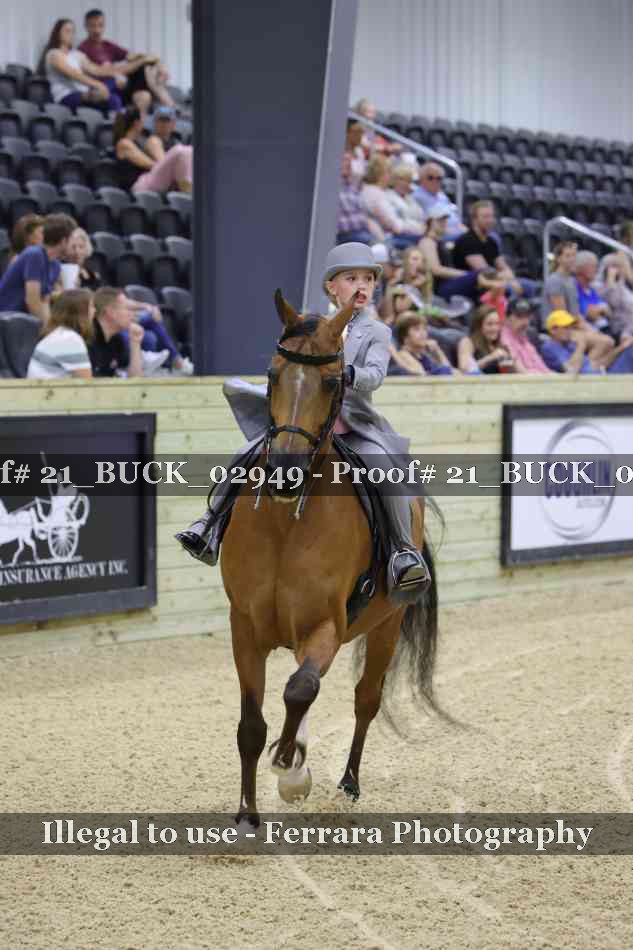 Proof 21_BUCK_02949