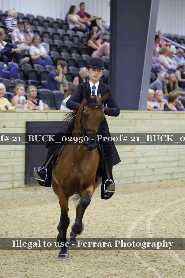 Proof 21_BUCK_02950