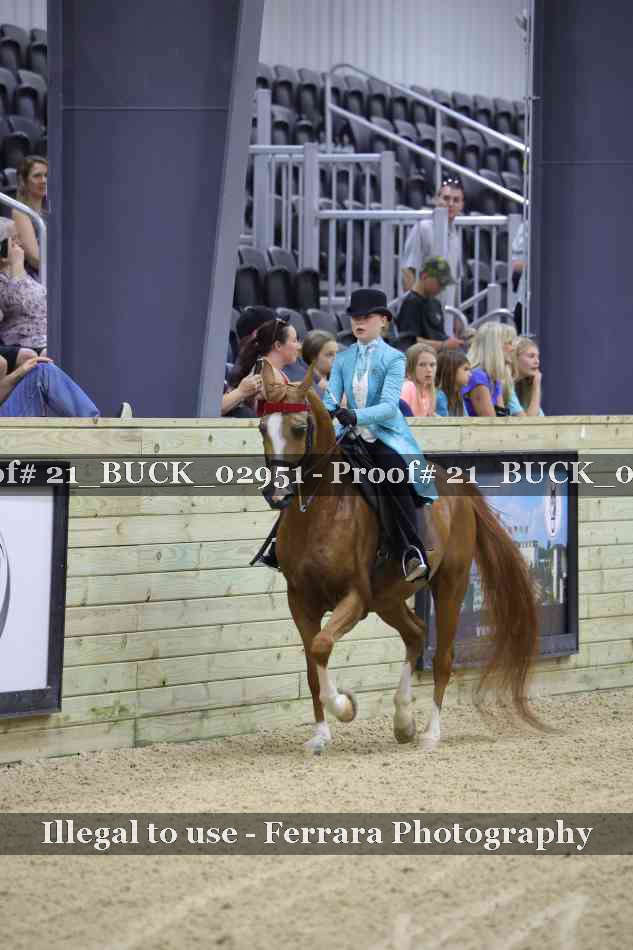 Proof 21_BUCK_02951