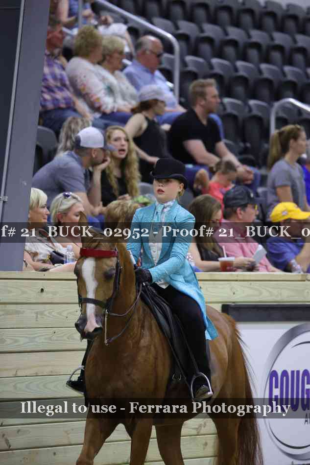 Proof 21_BUCK_02952