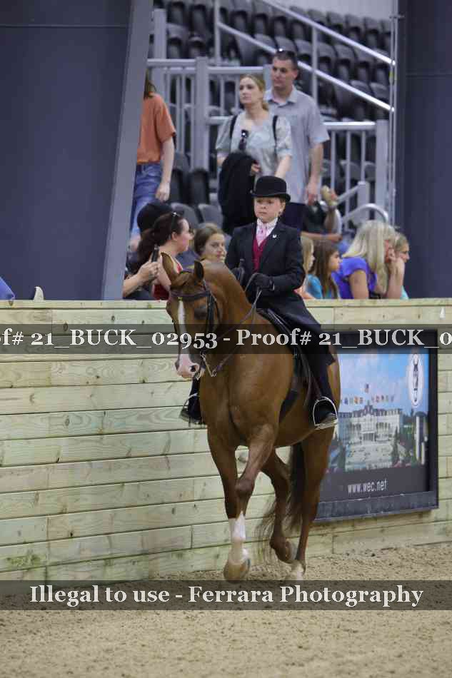 Proof 21_BUCK_02953