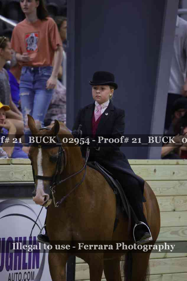 Proof 21_BUCK_02954