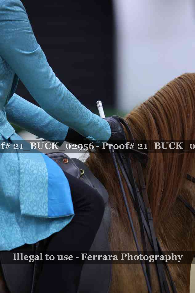 Proof 21_BUCK_02956