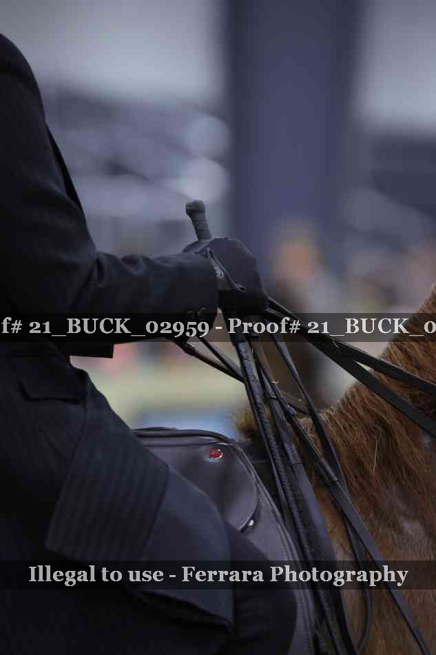 Proof 21_BUCK_02959