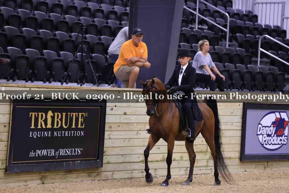 Proof 21_BUCK_02960