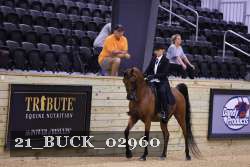 21_BUCK_02960 proof
