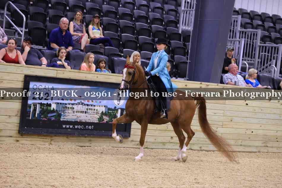 Proof 21_BUCK_02961
