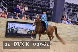 21_BUCK_02961 proof