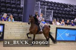 21_BUCK_02962 proof