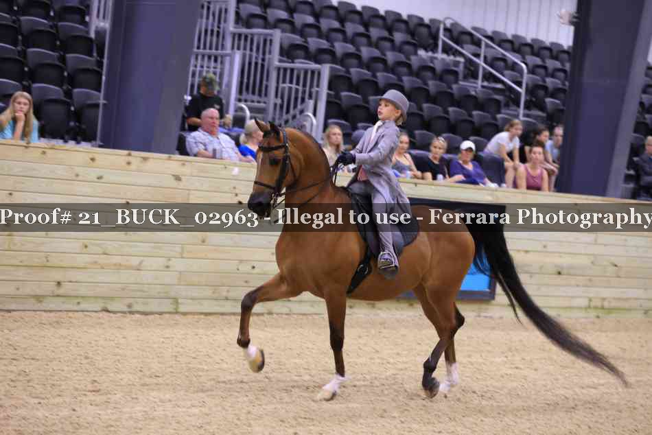 Proof 21_BUCK_02963