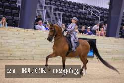 21_BUCK_02963 proof