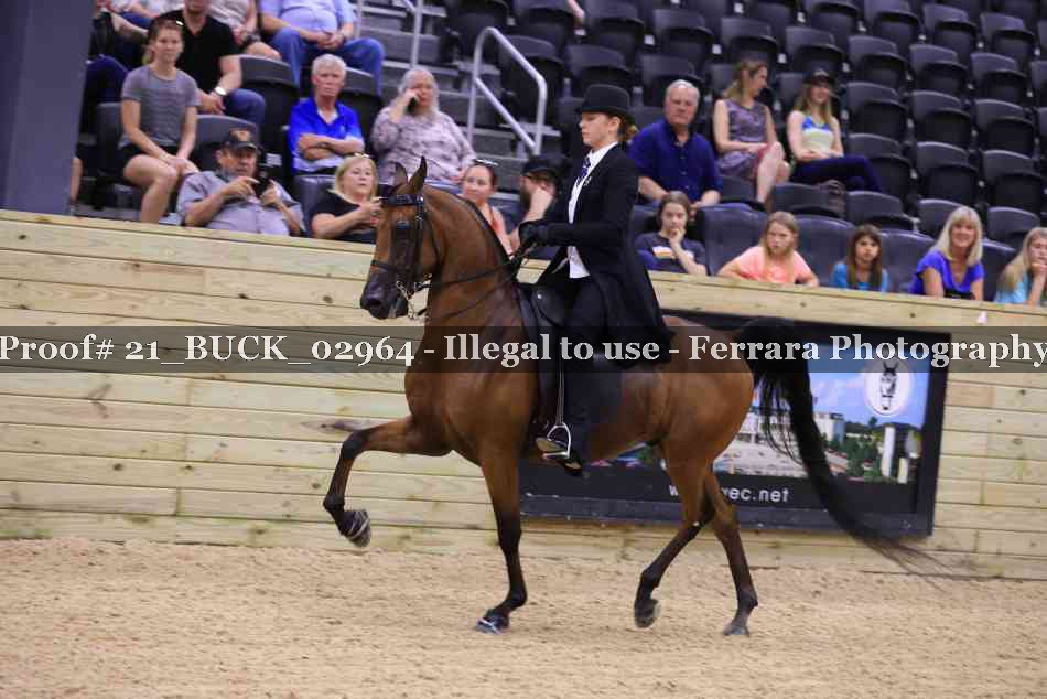 Proof 21_BUCK_02964
