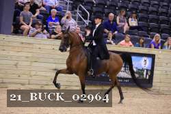 21_BUCK_02964 proof