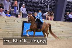 21_BUCK_02965 proof