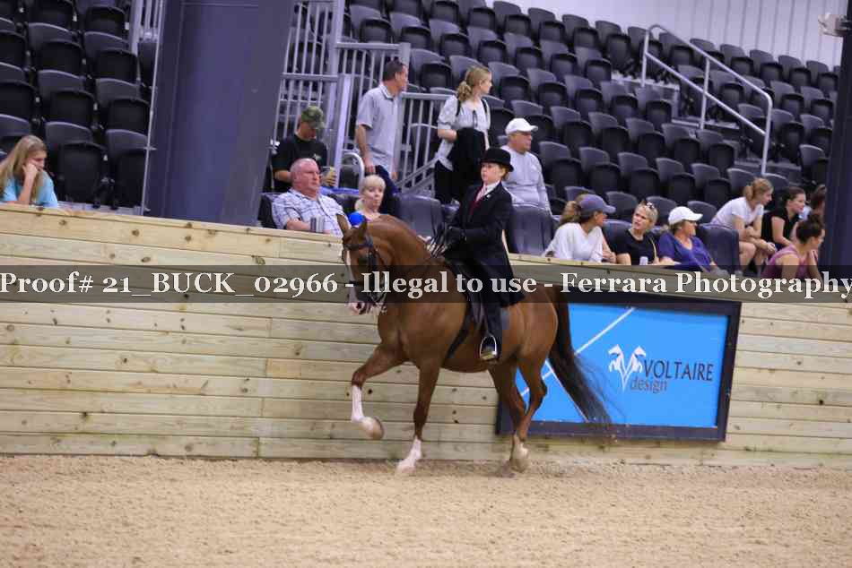 Proof 21_BUCK_02966