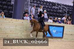 21_BUCK_02966 proof