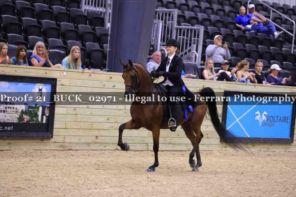 Proof 21_BUCK_02971