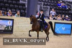 21_BUCK_02971 proof