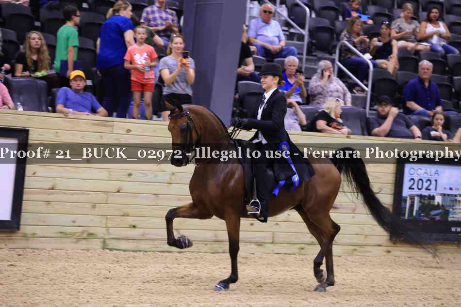 Proof 21_BUCK_02972