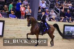 21_BUCK_02972 proof