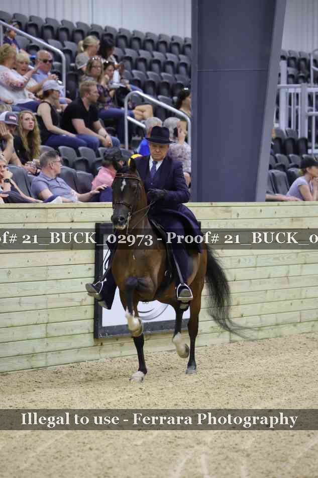 Proof 21_BUCK_02973