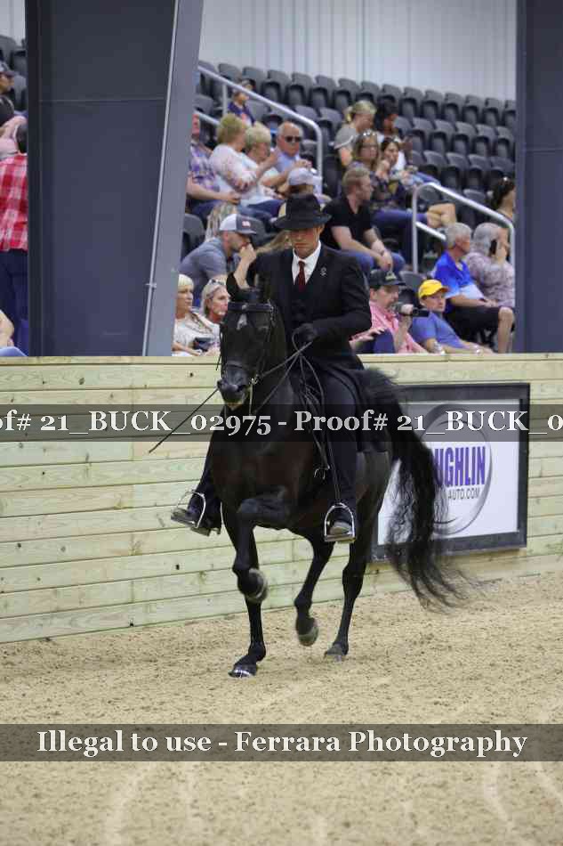Proof 21_BUCK_02975