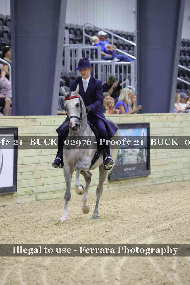 Proof 21_BUCK_02976