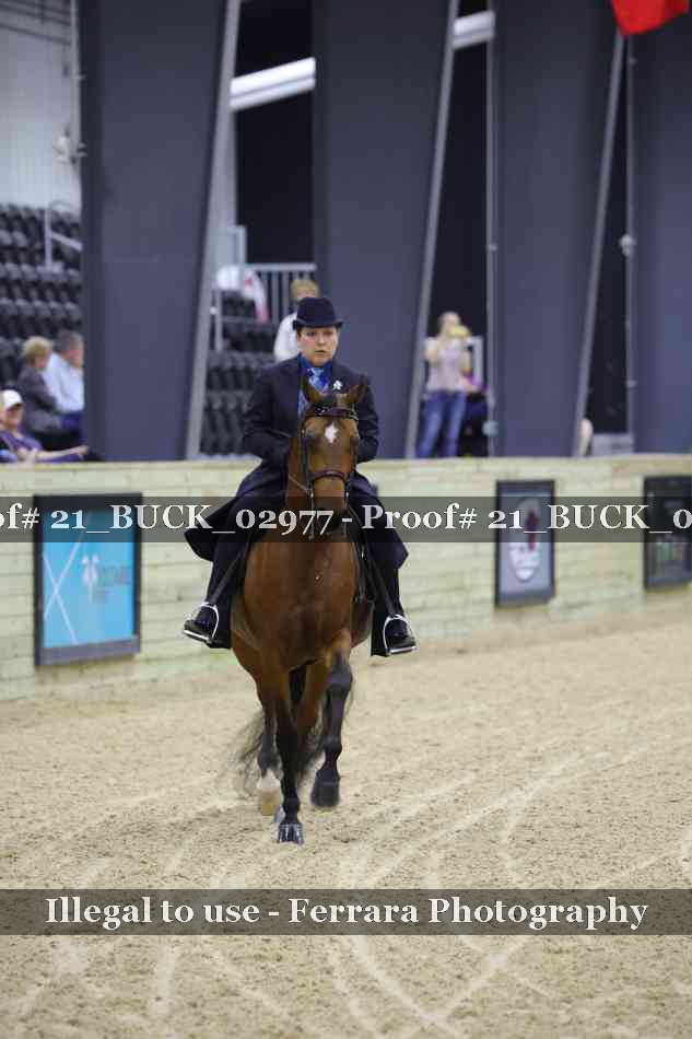 Proof 21_BUCK_02977