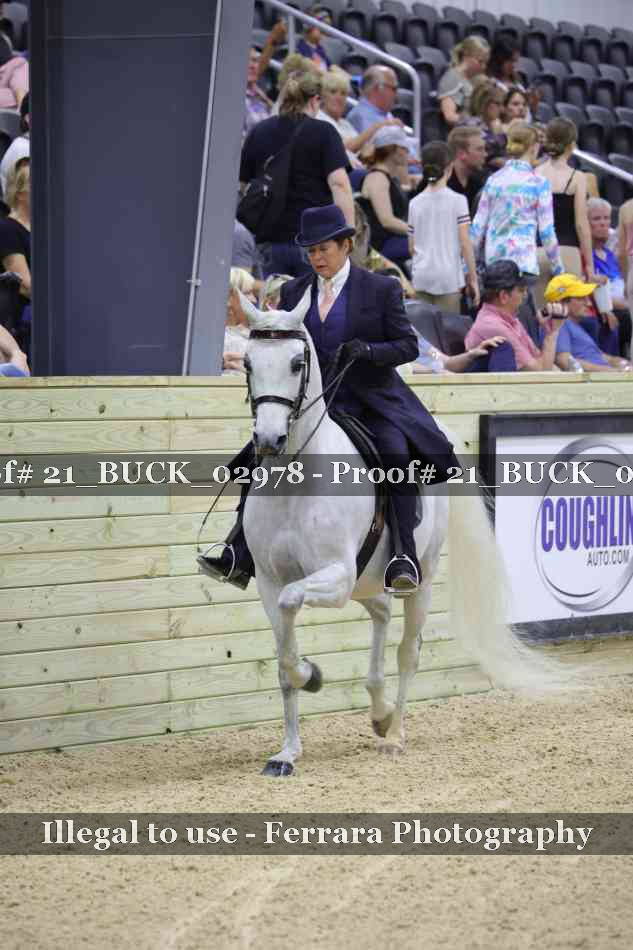 Proof 21_BUCK_02978