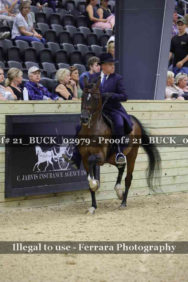Proof 21_BUCK_02979
