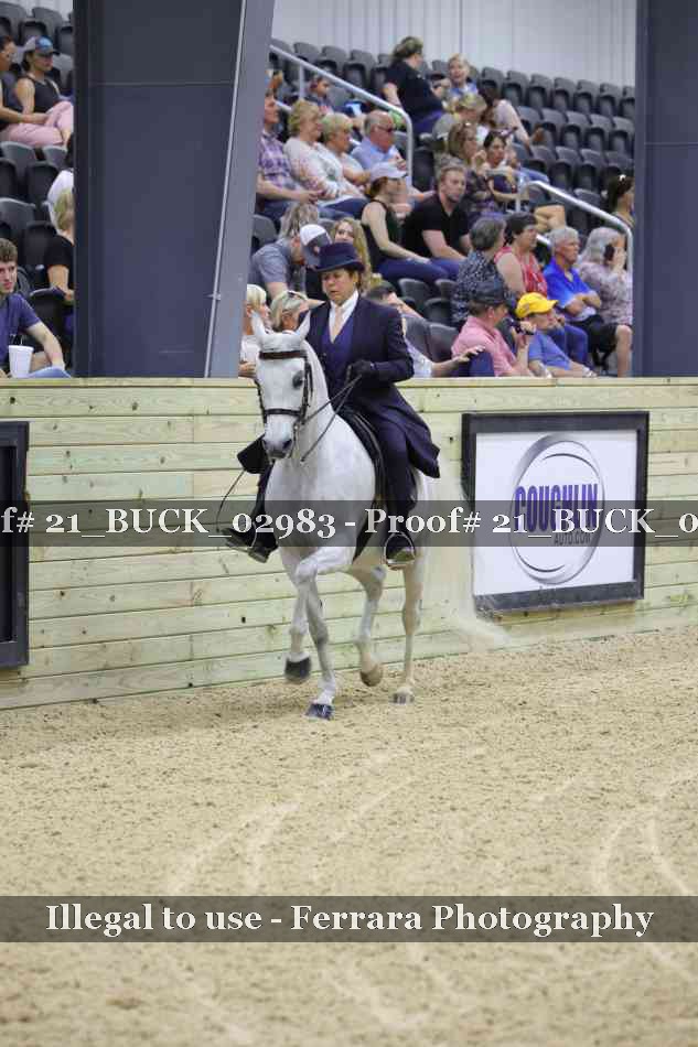 Proof 21_BUCK_02983