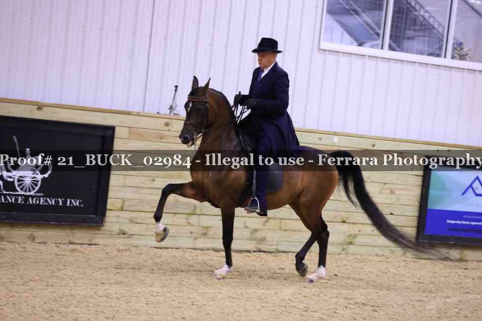 Proof 21_BUCK_02984
