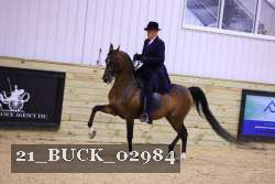 21_BUCK_02984 proof