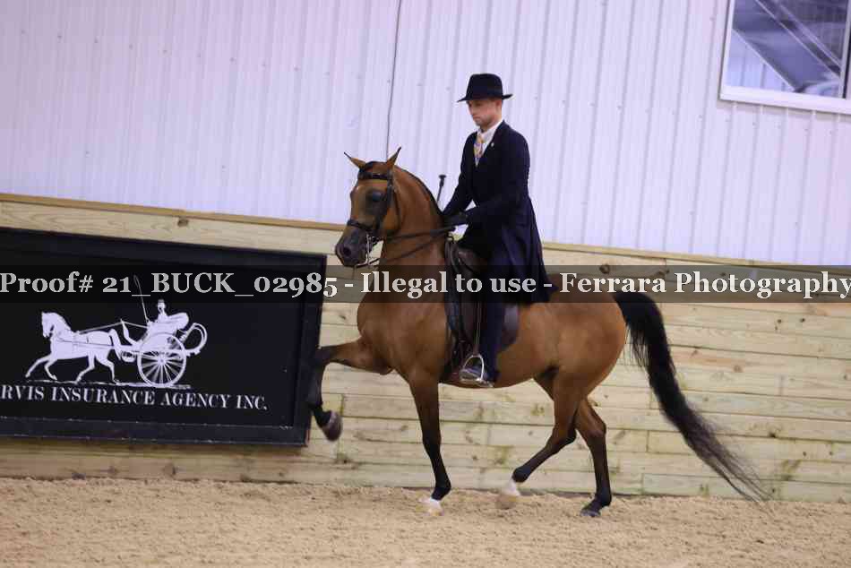 Proof 21_BUCK_02985