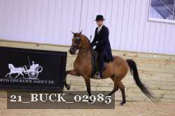 21_BUCK_02985 proof