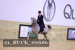 21_BUCK_02986 proof