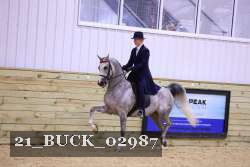 21_BUCK_02987 proof