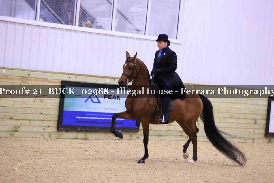 Proof 21_BUCK_02988