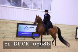 21_BUCK_02988 proof