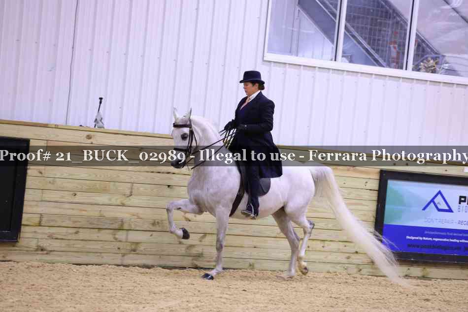 Proof 21_BUCK_02989