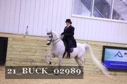 21_BUCK_02989 proof