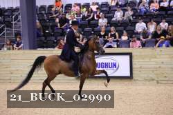21_BUCK_02990 proof