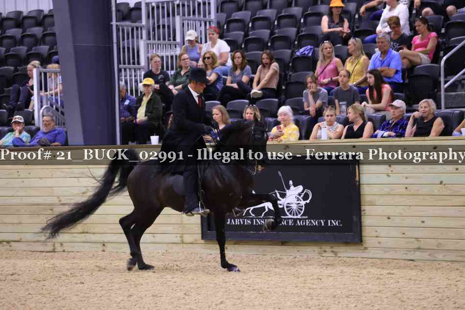 Proof 21_BUCK_02991