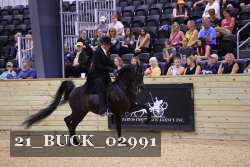 21_BUCK_02991 proof