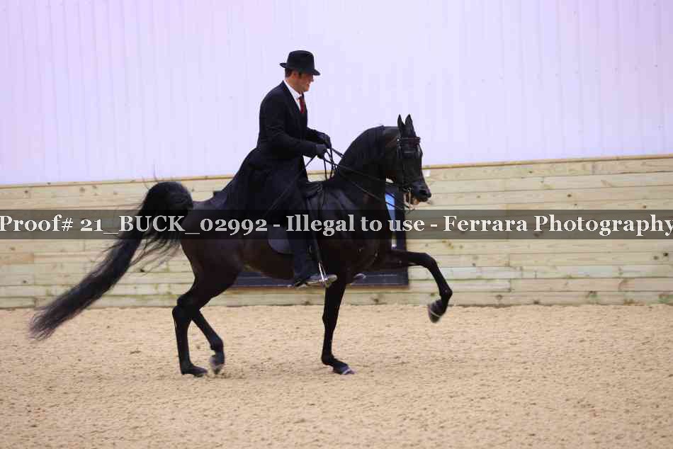 Proof 21_BUCK_02992